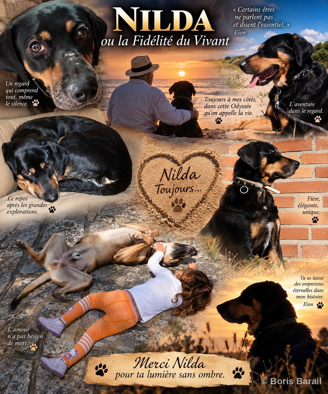 Chapter artwork — Nilda ou la Fidelite du Vivant, collage